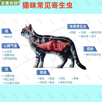 新宠之康 犬猫宠物猪鸡鸭鹅驱虫药阿苯达唑片