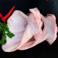 世鲜农新鲜猪耳朵片猪耳尖冻新鲜猪耳朵商用肉带根猪耳纯干货 土猪耳朵 10个 3.5斤 1袋