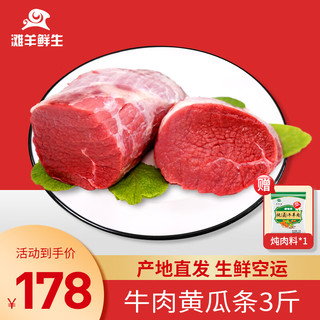 滩羊鲜生宁夏黄牛肉 生鲜新鲜散养牛腿肉原切牛排牛前后腿肉清真源头直发 3斤黄瓜条