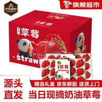 愉果(yuguo)草莓 红颜99草莓 大凉山牛奶草莓 新鲜水果年货礼盒 整箱3斤礼盒装单果12g+净重2.4斤