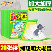 金大侠粘鼠板老鼠贴超强力家用加大加厚捕鼠黏鼠板 20片装 20张装 【实惠量贩 加大加厚】