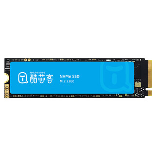 QUANXING 铨兴 酷芯客 1TB SSD固态硬盘 AI PC存储配件 M.2接口 2280（NVME协议）PCIe3.0 读速3500MB/s P300