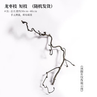 others 其他 龙枣干枝树枝树干装饰天然弯曲龙爪插花干枝侘寂艺术风干禅意干花 龙枣枝-(形状随机)30-40cm 干树枝