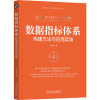 数据指标体系：构建方法与应用实践 图书