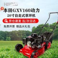 海道 割草机本田动力GXV160草坪机20寸自走打草机割草机汽油机除草机