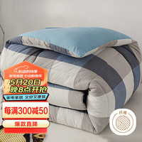 艾薇抗菌纤维被 冬季被子4.5斤cm