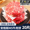 口水时代安格斯谷饲牛肉饼原切M5牛排汉堡肉饼新鲜儿童早餐汉堡半成品商用 【安格斯0添加牛肉饼】10片