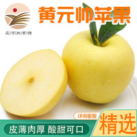 鲜姿黄元帅苹果黄金帅粉面起沙金帅金冠新鲜当季水果整箱 5斤（80-85mm）