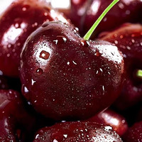 果真秀智利车厘子黑珍珠桑提娜美早大樱桃水果礼盒装佳品 3J级(单果30-32mm) 5斤(店长力荐)