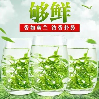 恋凝香毛尖绿茶高山新茶春茶浓香型耐泡云雾绿茶袋装茶叶