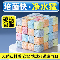 森森（SUNSUN）鱼缸过滤材料硝化细菌屋石英球培菌滤材净水 小方益菌屋300g/袋 约55个