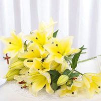 沭之美漳州水仙种球室内水培花卉阳台绿植盆栽耐寒水仙花 百合黄色种球5个+敞口塑料盆