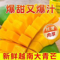 颜小荭芒果 越南大青芒 大脸芒大芒果新鲜水果青皮黄皮现摘现发 实惠装4.5-5斤(单果250g起)