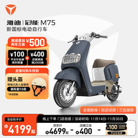 雅迪（yadea）冠能 M75 电动自行车新国标复古通勤代步智能电动车前后双碟电瓶车 颜色到店自选