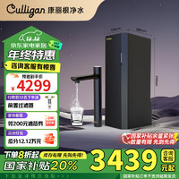 Culligan 康丽根净水器家用 小黑龙即热厨下式RO反渗透滤芯加热直饮净热一体饮水机 国家家电政府补贴 T2800