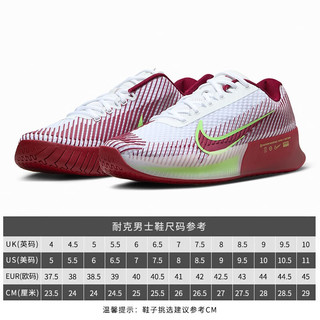 耐克（Nike）男鞋24NikeCourt Air Zoom Vapor 11舒适透气 减震支撑硬地网球鞋 DR6966-104 23款 7.5/40.5/25.5CM