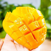 美得乐芒果新鲜小台芒应当季水果现摘甜心小芒果 5斤 大果120g