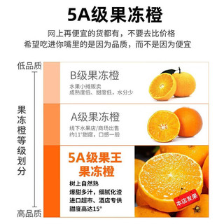 田拾记四川爱媛38号果冻橙眉山丹棱橙新鲜水果柑橘子甜送礼品物 精选果丨5斤礼箱装 净4.5斤 单果65-70mm丨甜