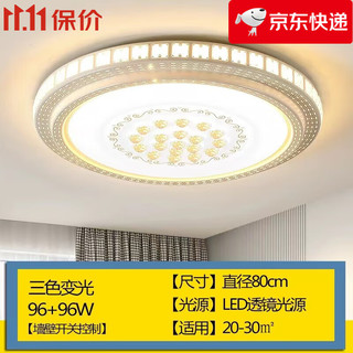 欧普源兴 客厅吸顶灯led圆形2024年新款大灯现代简约大气大厅主卧室灯具 星空80cm 三色变光