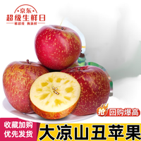 骑猴赶马四川大凉山盐源丑苹果冰糖心脆甜红富士时令新鲜水果小孩可吃苹果 9斤【臻选/】【单果85mm+】净重8.5斤 【新鲜采摘】
