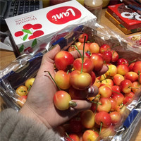 鑫果滋 黄金车厘子 黄樱桃智利车厘子jjjj级水晶大樱桃水果礼盒 2500g 【罕见果王】JJJJ32-34mm