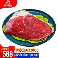 滩羊鲜生 JID联名宁夏滩羊肉 生鲜羊腿羊排羊肉卷烧烤火锅食材羊肉礼盒 10斤牛排骨黄牛肉