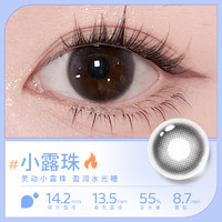 EYEPONY 美瞳日抛10片屿麋褐暮色迟迟狗狗眼彩色近视隐形眼镜