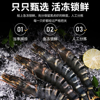 鲜拔头筹 大号活冻黑虎虾14-18只净重400g