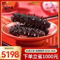 深海地带 淡干海参 大连底播辽刺参干货 国标高泡发 深海海鲜水产礼盒滋补 国标18倍 礼盒装500g(30-50头)