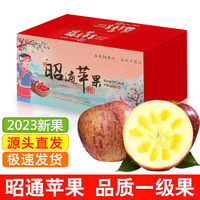 颜曼箐云南昭通冰糖心丑苹果 新鲜水果红富士时令苹果礼盒 爆卖10斤礼盒装【必备】 整箱