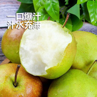 華北強 山西玉露香梨 5斤装大果