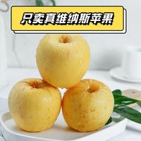 耀好山东黄金维纳斯苹果雀斑美人当季新鲜水果脆甜果香浓郁丑苹果整箱 【实惠】4.5斤小果（70mm+）