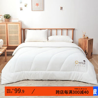 艾薇被子冬季加厚保暖纤维被宿舍保暖单双人被芯 【超柔羊毛被】纯白 150*200cm【单人四季被4斤】