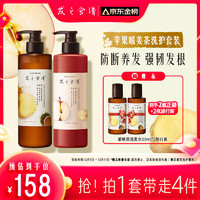 Hair Recipe 发之食谱 姜根茶防断养发洗发水530ml+苹果生姜强韧护发素530g