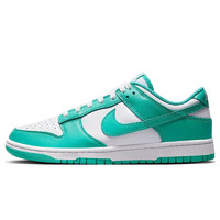 NIKE 耐克 DUNK LOW RETRO 男款板鞋 DV0833-101