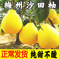 柚满园【纯甜不酸】梅州沙田柚子正宗特产广东金柚碌柚新鲜水果沙甜柚
