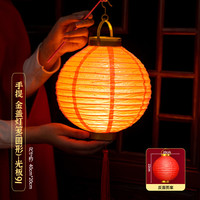 BAOLUO 宝螺 龙年新年灯笼挂件春节儿童手提发光花灯彩灯元宵装饰古风宫灯挂饰