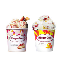 Haagen-Dazs/哈根达斯焦糖饼干草莓芝士芒果组合装冰淇淋460ML/桶