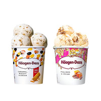 Haagen-Dazs/哈根达斯焦糖饼干草莓芝士芒果组合装冰淇淋460ML/桶