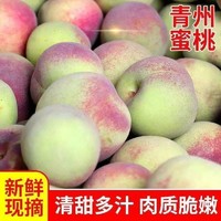 others 其他 无品牌 山东青州冬雪蜜桃 3斤 中果 尝鲜装