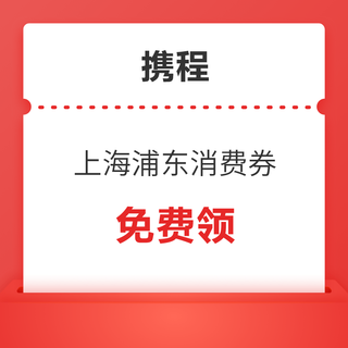 免费领！最高减800，跨年可用！上海浦东旅游消费券