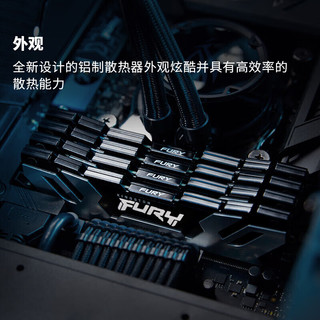 金士顿（Kingston）FURY 48GB(24G×2)套装 DDR5 8400 台式机内存条 Renegade叛逆者系列 骇客神条 C40