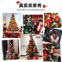 迷饰 1.2米圣诞树家用套餐圣诞节装饰