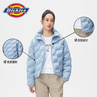 dickies羽绒服 全身压印印花羽绒服 保暖外套上衣DK010807 浅灰蓝 L 充绒量:169g