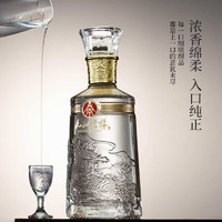 WULIANGYE 五粮液 龙年限定礼盒 52度 浓香型白酒 500mL*2瓶