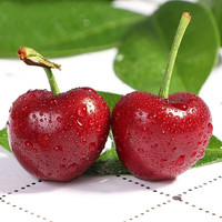 瑞生祥智利车厘子新鲜应季桑提娜大樱桃水果新鲜当季 智利桑提娜车厘子 净重3斤(果径28-30mm)