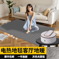 环鼎水暖地毯客厅水暖地垫地暖垫水暖地暖垫水地暖电热地毯水循环地垫 【数显遥控水地暖垫】灰色光面毯 180*200cm