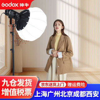 Godox 神牛 SL150w三代直播补光灯摄影打光灯影棚直播设备球形柔光灯 单灯套装-柔光球*1 官方标配