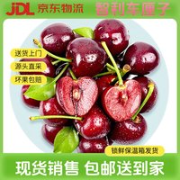 鲜级佳车厘子 智利车厘子大樱桃 多地次日达 水果 年货 1斤装3JJJ级30-32mm 净重0.8斤