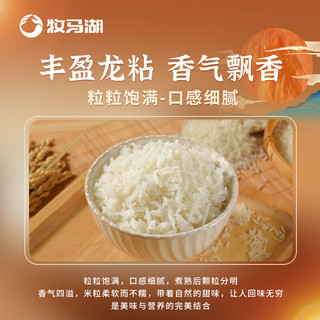 牧马湖龙粘王1kg 南方高端大米油粘籼米